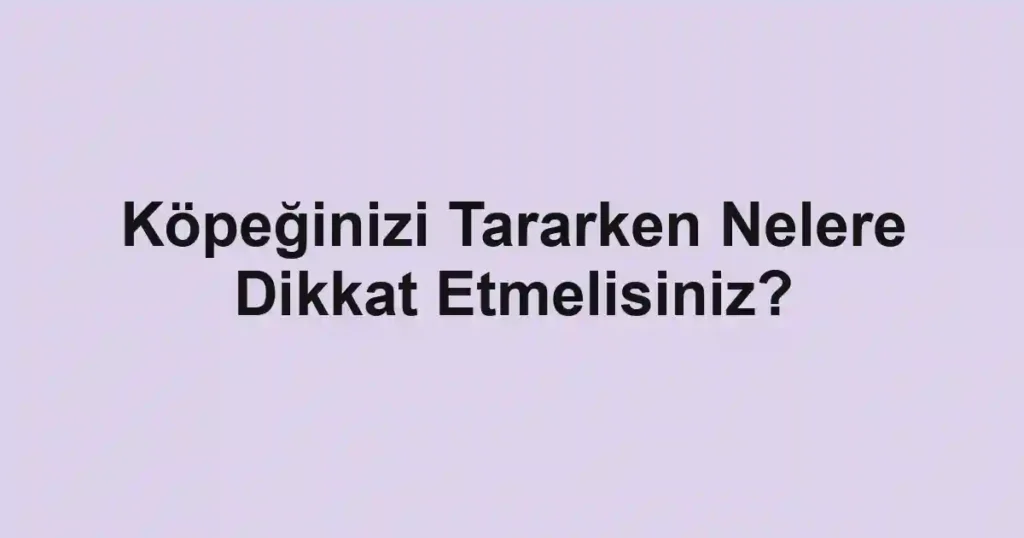 Köpeğinizi Tararken Nelere Dikkat Etmelisiniz?