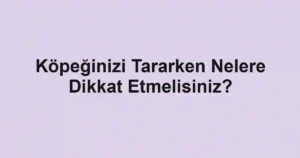 Köpeğinizi Tararken Nelere Dikkat Etmelisiniz?