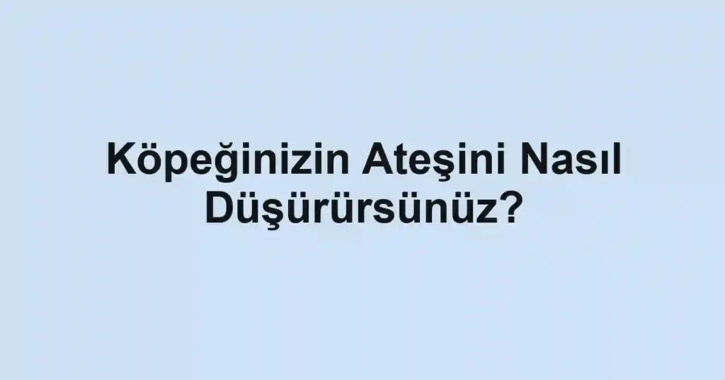 Köpeğinizin Ateşini Nasıl Düşürürsünüz?