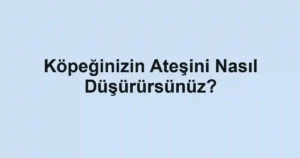 Köpeğinizin Ateşini Nasıl Düşürürsünüz?