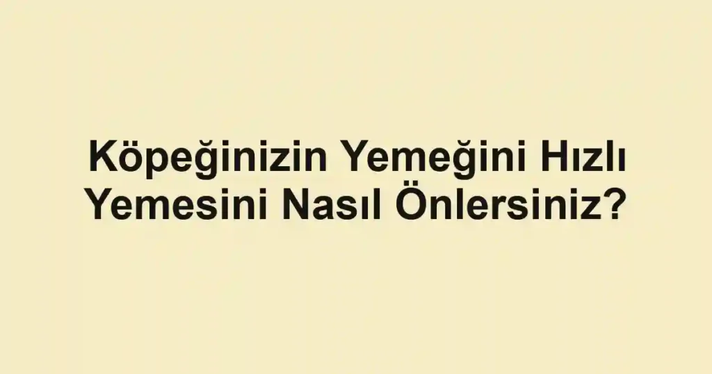 Köpeğinizin Yemeğini Hızlı Yemesini Nasıl Önlersiniz?