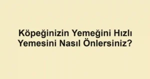 Köpeğinizin Yemeğini Hızlı Yemesini Nasıl Önlersiniz?