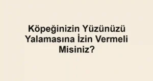 Köpeğinizin Yüzünüzü Yalamasına İzin Vermeli Misiniz?