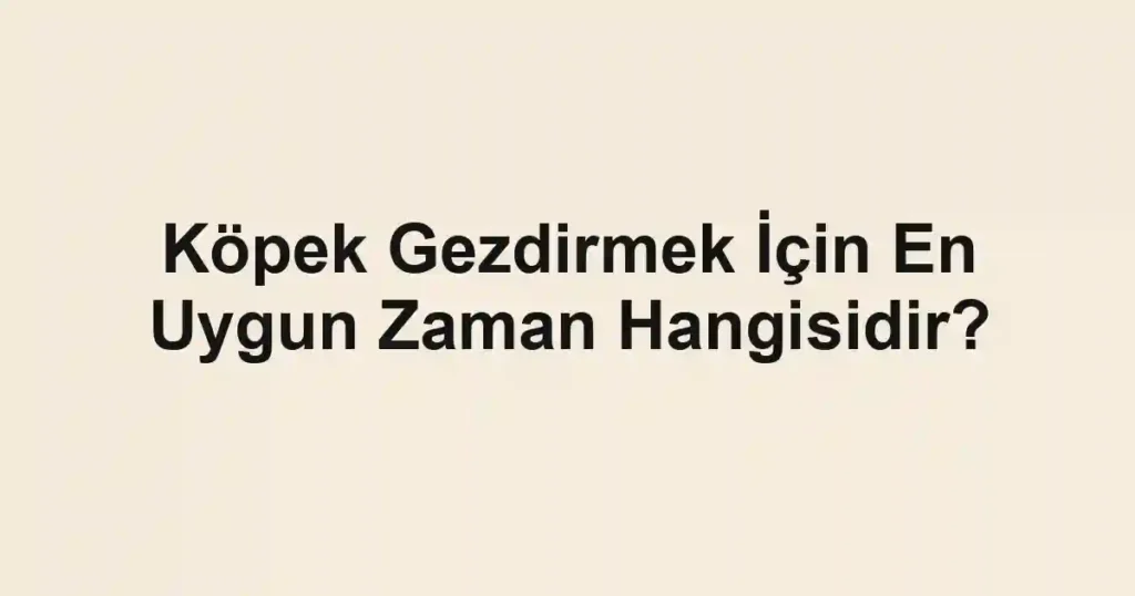 Köpek Gezdirmek İçin En Uygun Zaman Hangisidir?