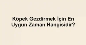 Köpek Gezdirmek İçin En Uygun Zaman Hangisidir?