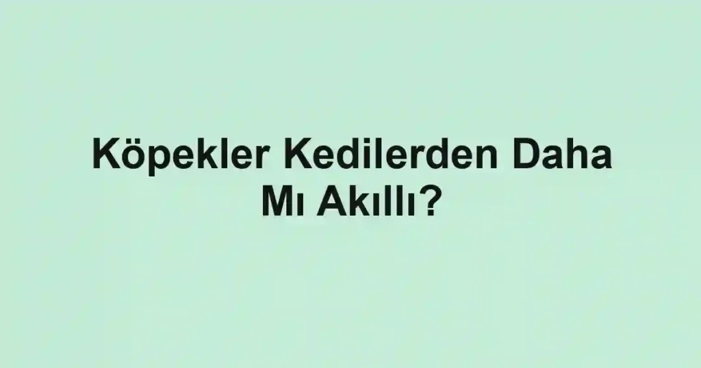 Köpekler Kedilerden Daha Mı Akıllı?