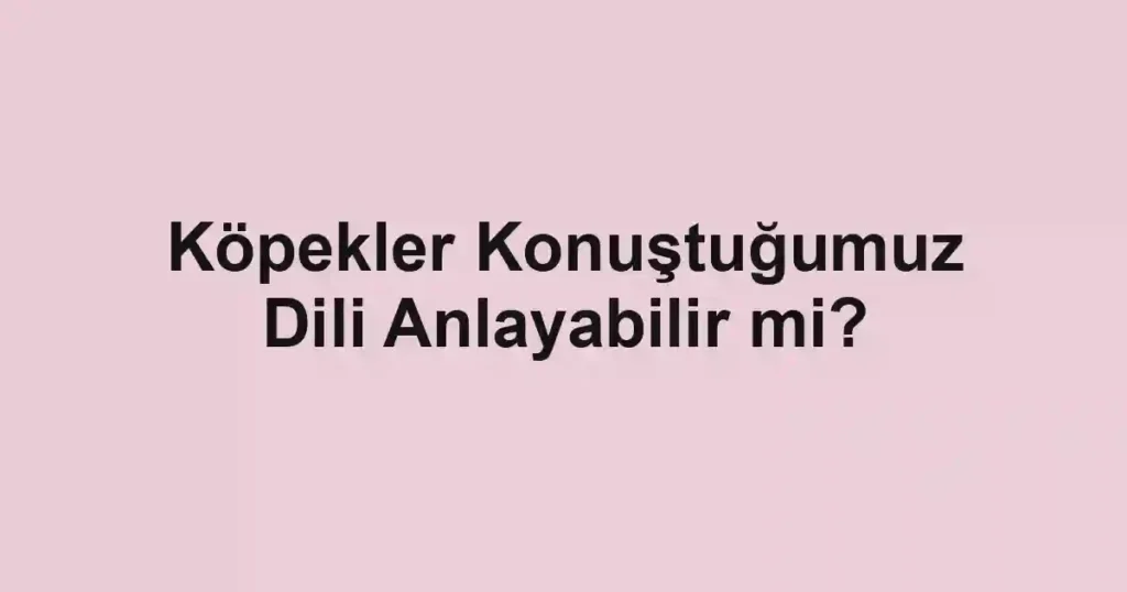 Köpekler Konuştuğumuz Dili Anlayabilir mi?