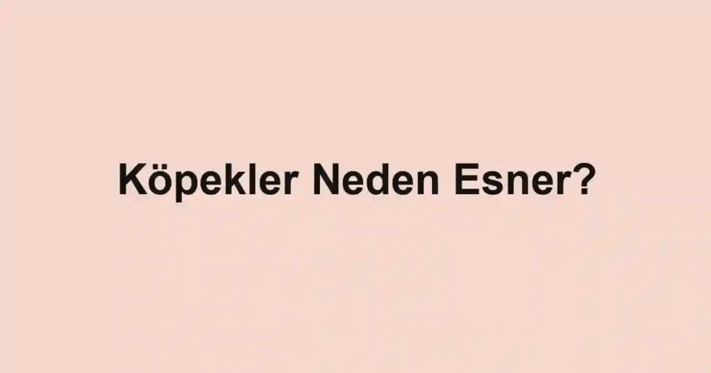 Köpekler Neden Esner?