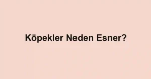 Köpekler Neden Esner?