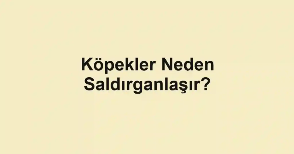 Köpekler Neden Saldırganlaşır?