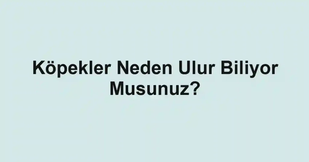 Köpekler Neden Ulur Biliyor Musunuz?