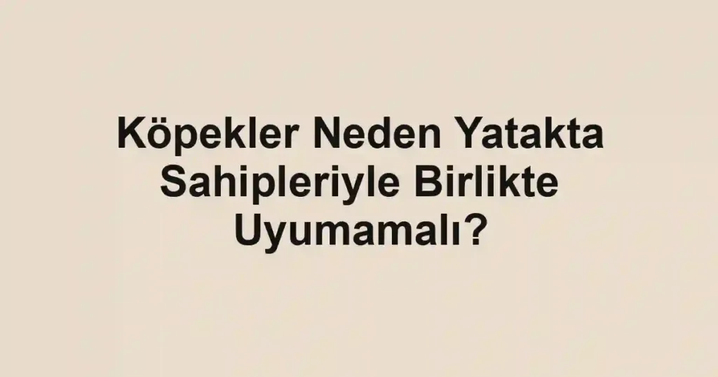 Köpekler Neden Yatakta Sahipleriyle Birlikte Uyumamalı?