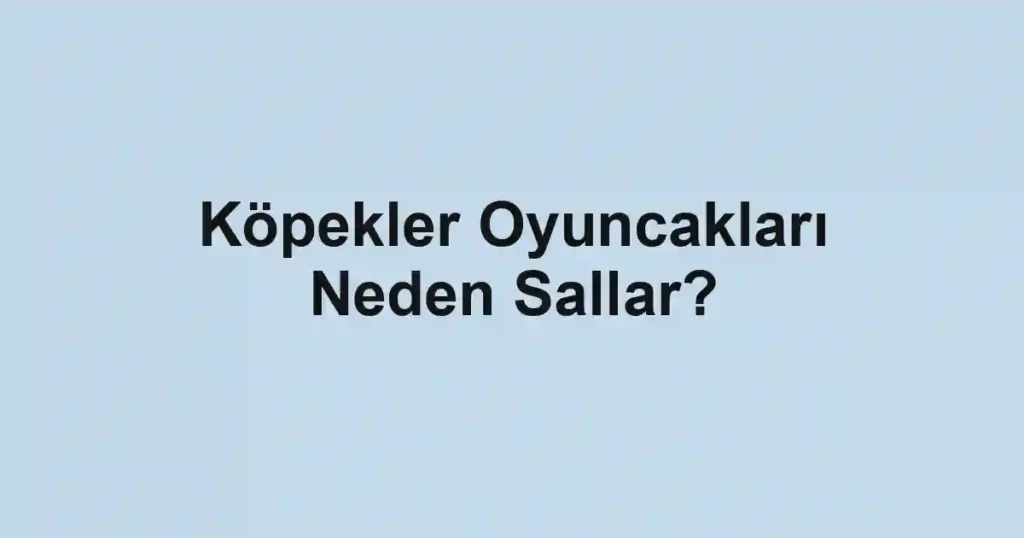 Köpekler Oyuncakları Neden Sallar?