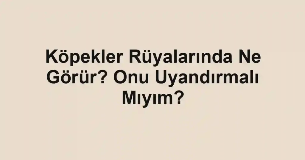 Köpekler Rüyalarında Ne Görür? Onu Uyandırmalı Mıyım?