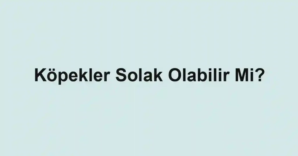 Köpekler Solak Olabilir Mi?