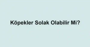 Köpekler Solak Olabilir Mi?
