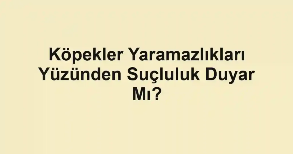 Köpekler Yaramazlıkları Yüzünden Suçluluk Duyar Mı?