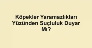 Köpekler Yaramazlıkları Yüzünden Suçluluk Duyar Mı?