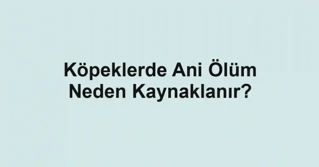 Köpeklerde Ani Ölüm Neden Kaynaklanır?