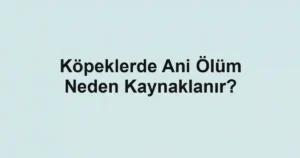 Köpeklerde Ani Ölüm Neden Kaynaklanır?