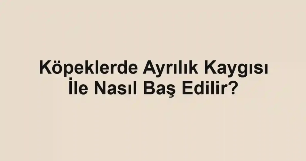 Köpeklerde Ayrılık Kaygısı İle Nasıl Baş Edilir?