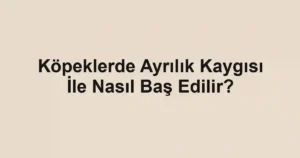 Köpeklerde Ayrılık Kaygısı İle Nasıl Baş Edilir?