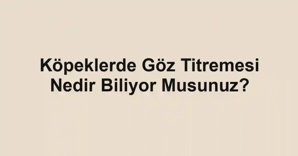Köpeklerde Göz Titremesi Nedir Biliyor Musunuz?