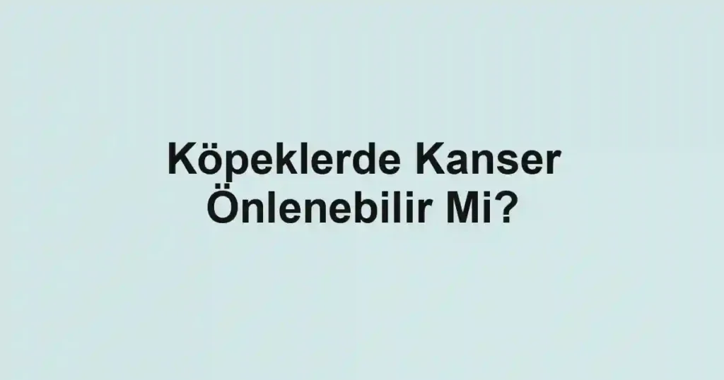 Köpeklerde Kanser Önlenebilir Mi?