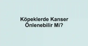 Köpeklerde Kanser Önlenebilir Mi?