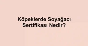 Köpeklerde Soyağacı Sertifikası Nedir?