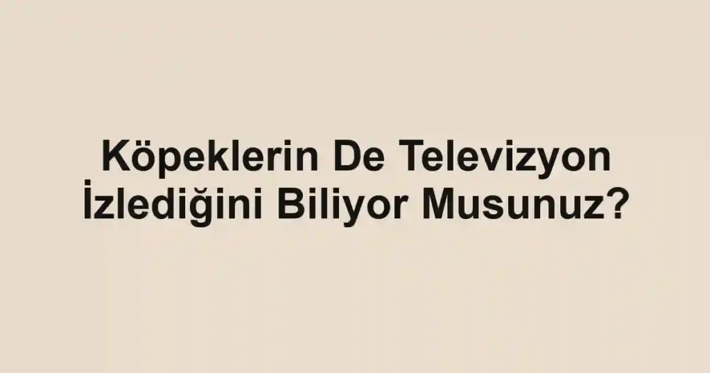 Köpeklerin De Televizyon İzlediğini Biliyor Musunuz?