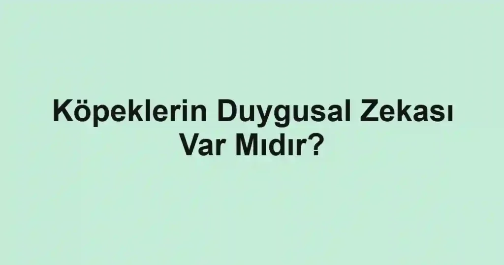 Köpeklerin Duygusal Zekası Var Mıdır?
