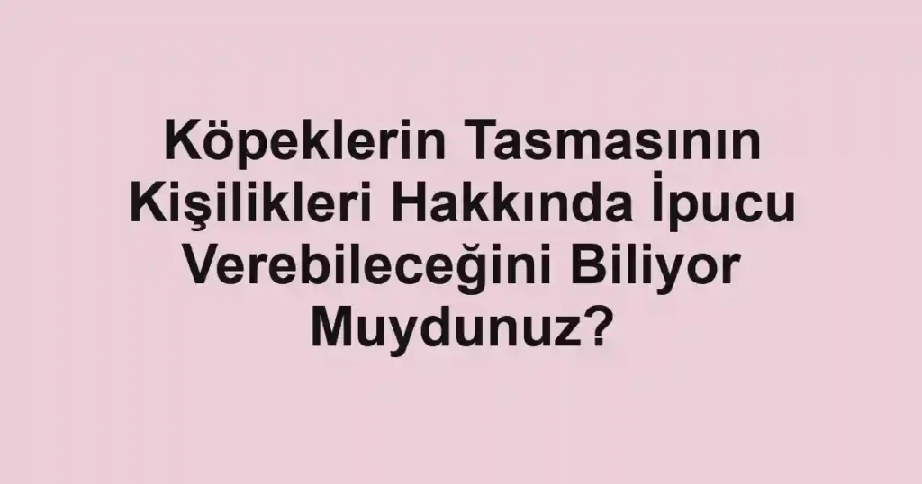 Köpeklerin Tasmasının Kişilikleri Hakkında İpucu Verebileceğini Biliyor Muydunuz?