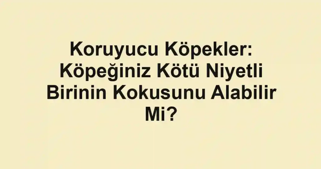 Koruyucu Köpekler: Köpeğiniz Kötü Niyetli Birinin Kokusunu Alabilir Mi?