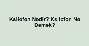 Ksilofon Nedir? Ksilofon Ne Demek?
