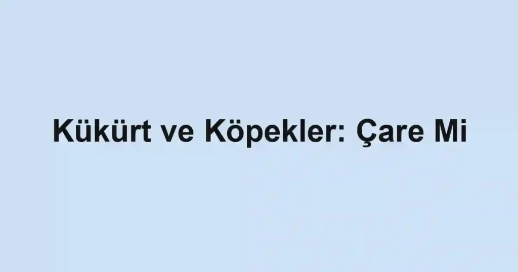 Kükürt ve Köpekler: Çare Mi