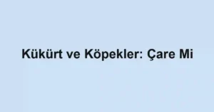 Kükürt ve Köpekler: Çare Mi