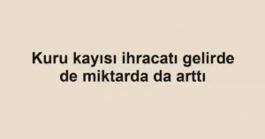 Kuru kayısı ihracatı gelirde de miktarda da arttı