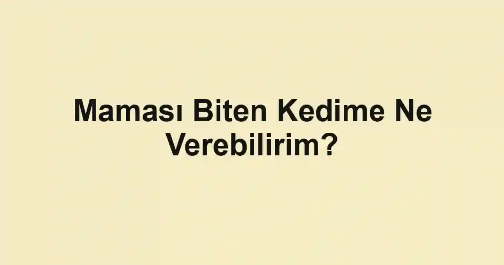 Maması Biten Kedime Ne Verebilirim?