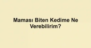 Maması Biten Kedime Ne Verebilirim?