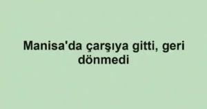 Manisa'da çarşıya gitti, geri dönmedi