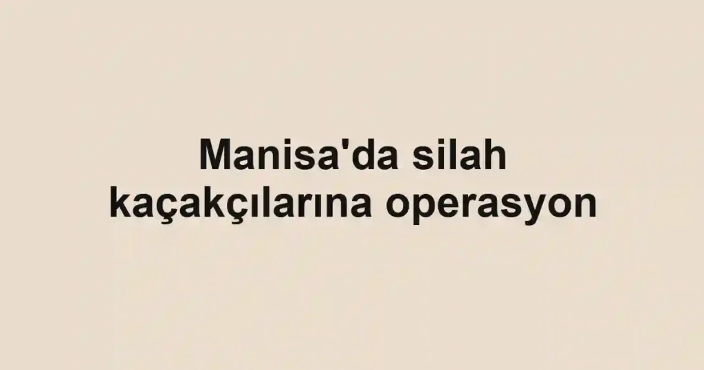 Manisa'da silah kaçakçılarına operasyon