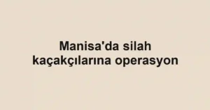 Manisa'da silah kaçakçılarına operasyon