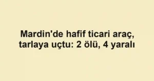 Mardin'de hafif ticari araç, tarlaya uçtu: 2 ölü, 4 yaralı