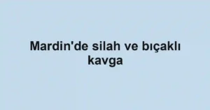 Mardin'de silah ve bıçaklı kavga