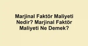 Marjinal Faktör Maliyeti Nedir? Marjinal Faktör Maliyeti Ne Demek?