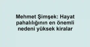 Mehmet Şimşek: Hayat pahalılığının en önemli nedeni yüksek kiralar