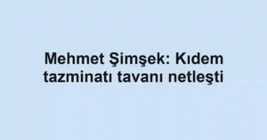 Mehmet Şimşek: Kıdem tazminatı tavanı netleşti