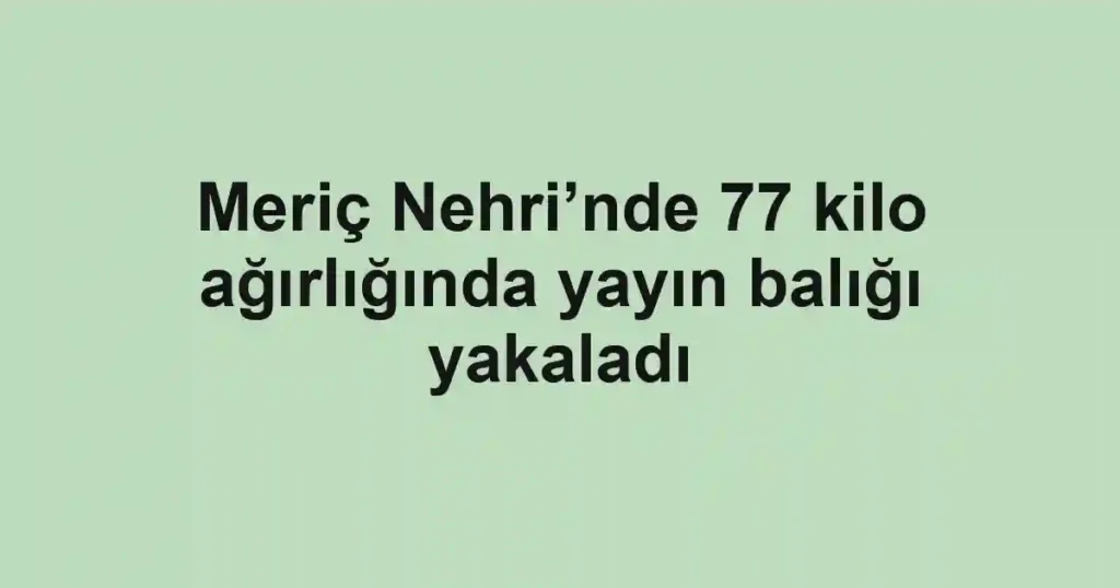 Meriç Nehri’nde 77 kilo ağırlığında yayın balığı yakaladı