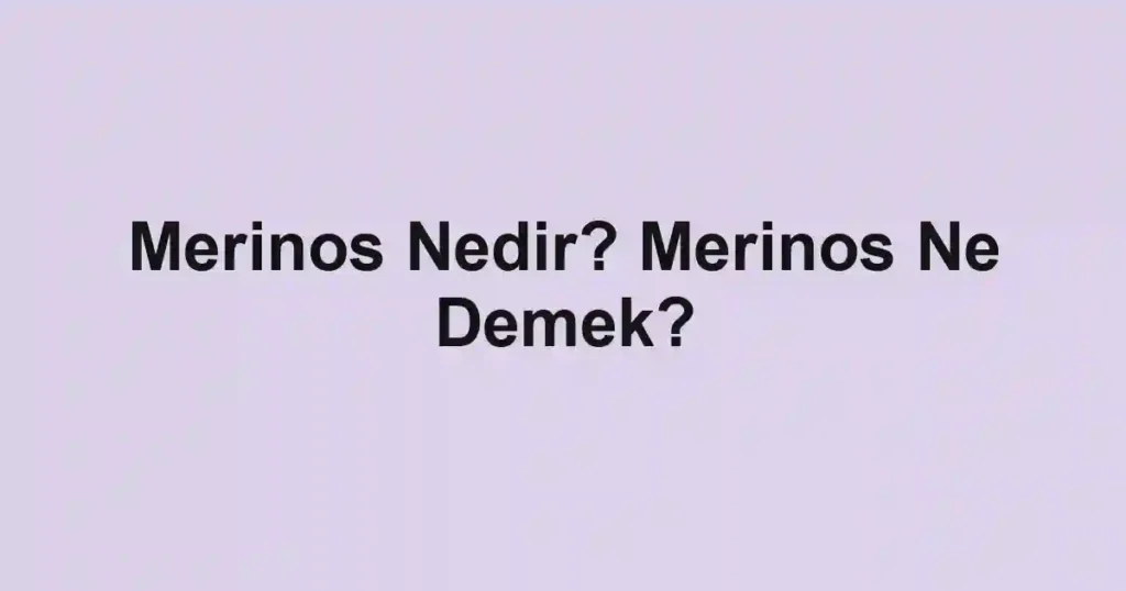 Merinos Nedir? Merinos Ne Demek?